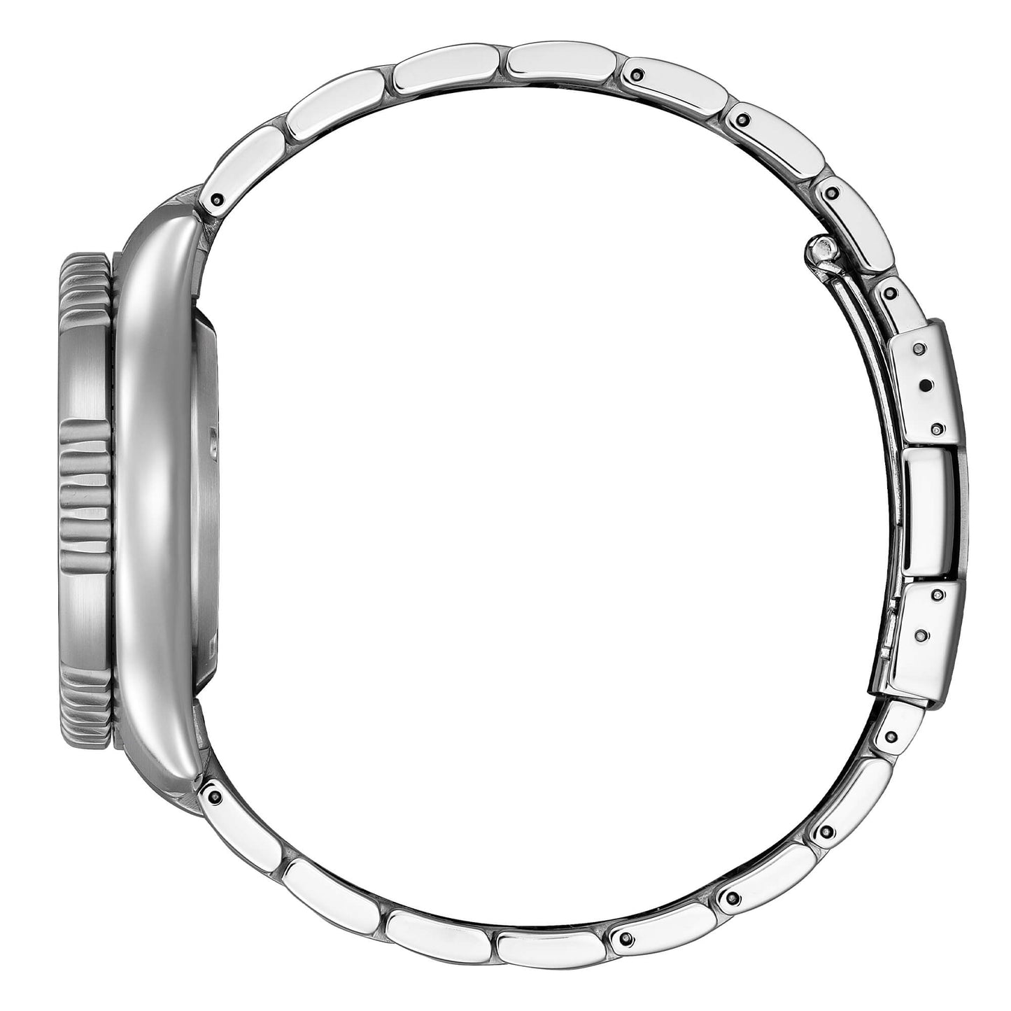 Orologio Citizen Diver's Automatic 200 mt Fugu Limited Edition