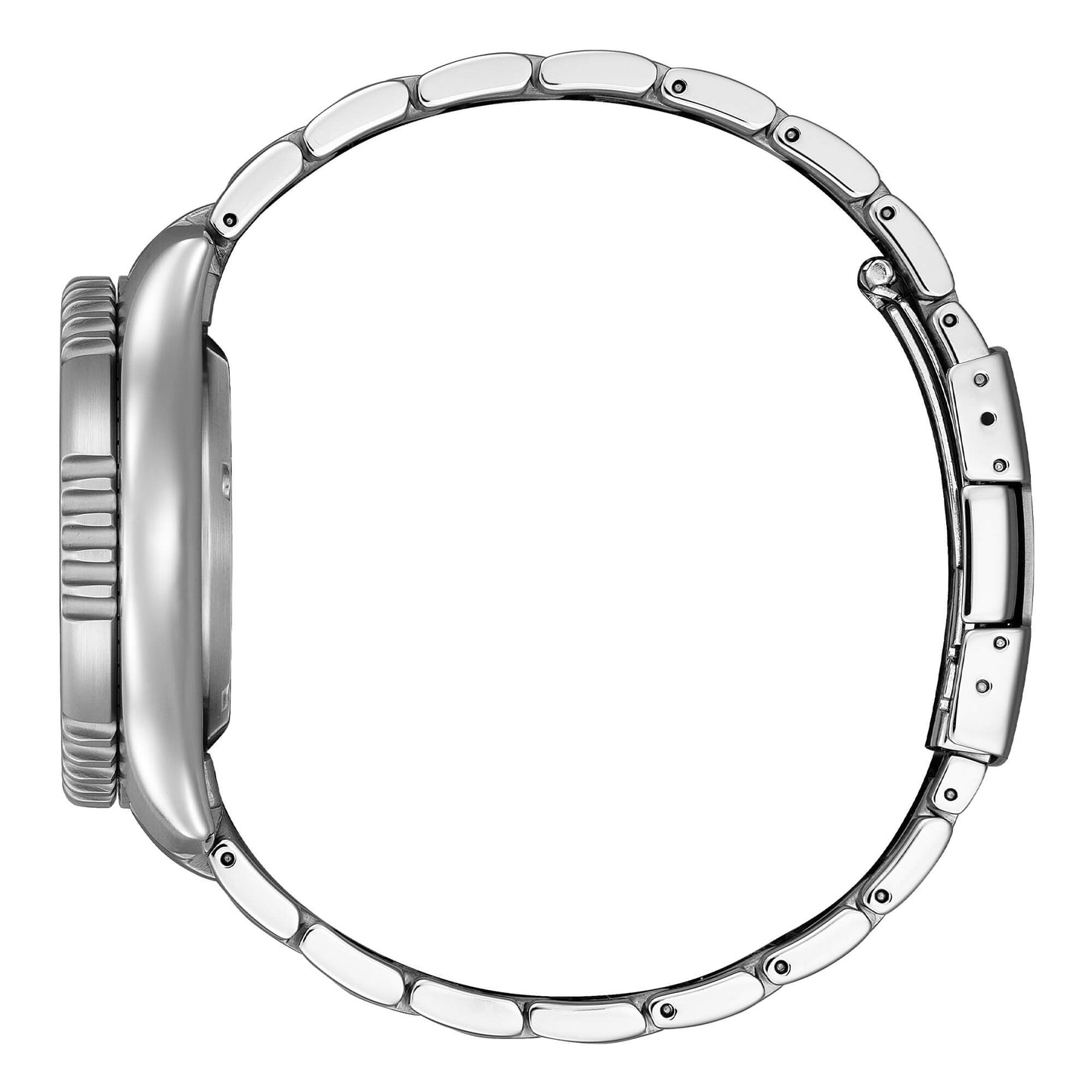 Orologio Citizen Diver's Automatic 200 mt Fugu Limited Edition